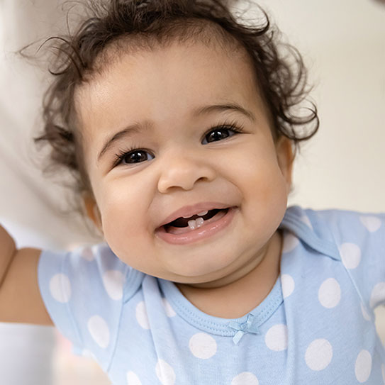 Walnut Creek Dentist